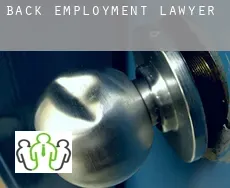 Back  employment lawyer