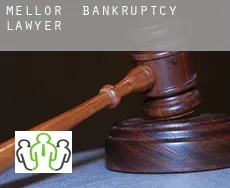 Mellor bankruptcy lawyer
