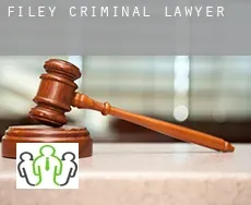Filey criminal lawyer