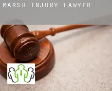 Marsh injury lawyer