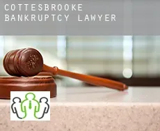 Cottesbrooke  bankruptcy lawyer