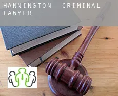 Hannington criminal lawyer