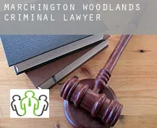 Marchington Woodlands  criminal lawyer