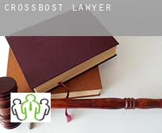 Crossbost  lawyer