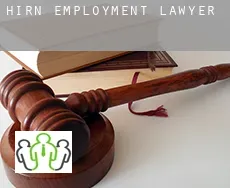 Hirn  employment lawyer
