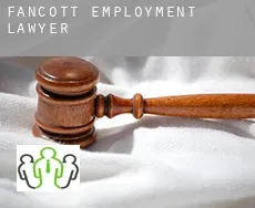 Fancott  employment lawyer