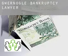 Gwernogle  bankruptcy lawyer