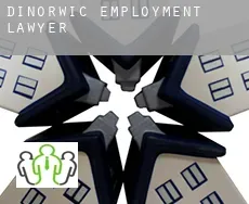 Dinorwic employment lawyer