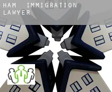 Ham  immigration lawyer