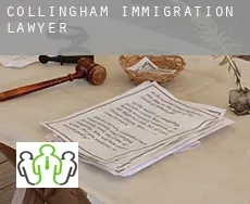 Collingham  immigration lawyer