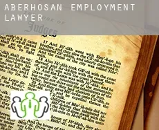 Aberhosan  employment lawyer