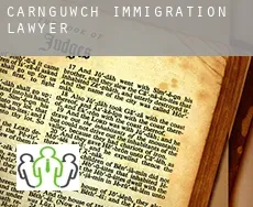 Carnguwch immigration lawyer