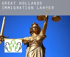 Great Hollands  immigration lawyer