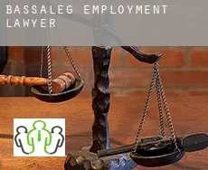 Bassaleg employment lawyer