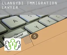 Llangybi immigration lawyer