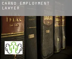 Carno employment lawyer