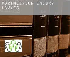 Portmeirion  injury lawyer