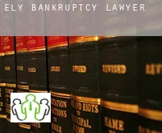 Ely bankruptcy lawyer