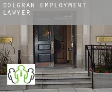 Dolgran  employment lawyer