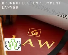 Brownhills employment lawyer