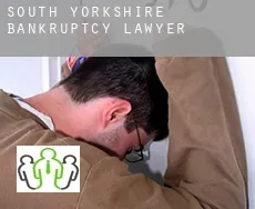 South Yorkshire  bankruptcy lawyer