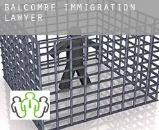 Balcombe  immigration lawyer
