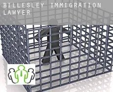 Billesley immigration lawyer
