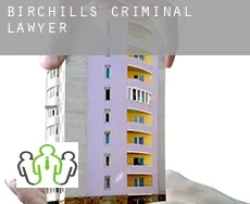 Birchills  criminal lawyer