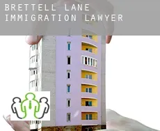 Brettell Lane  immigration lawyer
