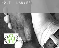 Holt lawyer
