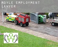 Moyle  employment lawyer