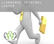Llanwenog  criminal lawyer