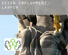 Eston  employment lawyer