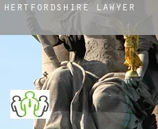 Hertfordshire lawyer