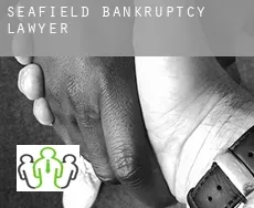 Seafield bankruptcy lawyer