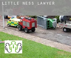 Little Ness lawyer