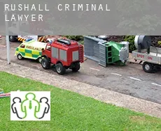 Rushall criminal lawyer