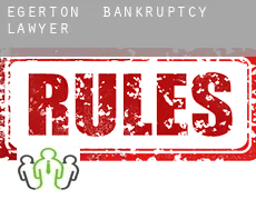 Egerton  bankruptcy lawyer