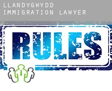 Llandygwydd immigration lawyer