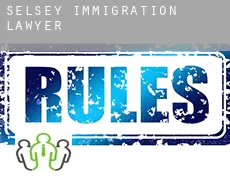 Selsey immigration lawyer
