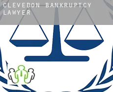 Clevedon  bankruptcy lawyer