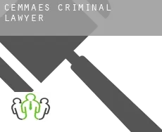 Cemmaes  criminal lawyer