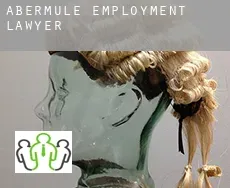 Abermule employment lawyer